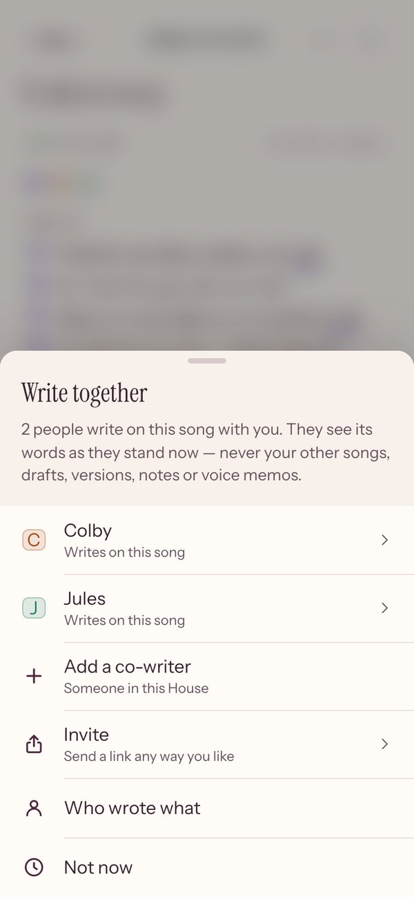 Write together: two co-writers, Add a co-writer, Invite, Who wrote what