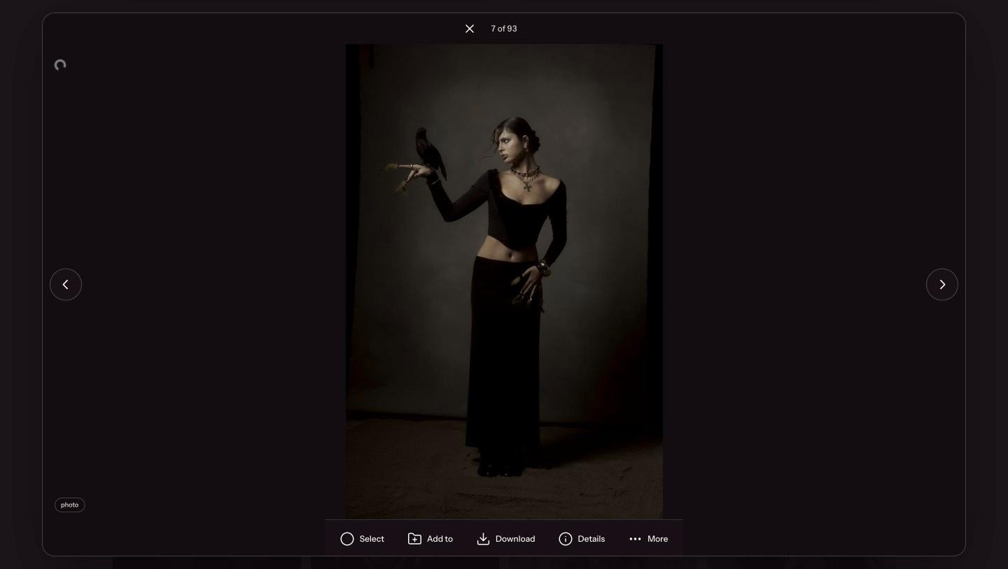 A photo from the EP shoot open in the Media viewer, with Select, Add to, Download, Details and More